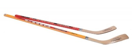 Zandstra Houten Hockeystick Lion